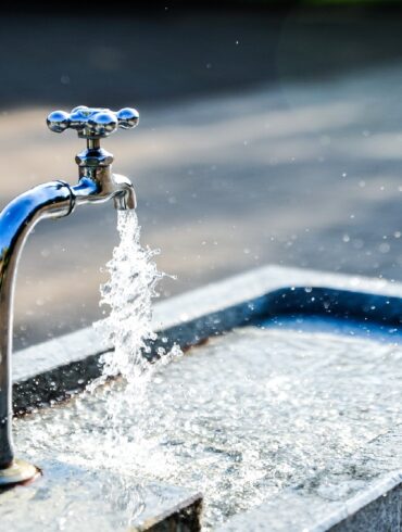 wystąpienia publiczne